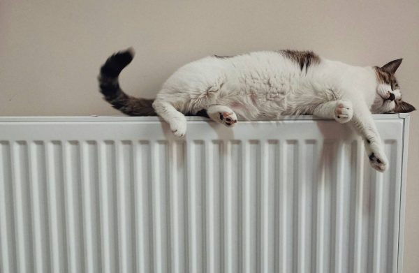termosifone chiusura