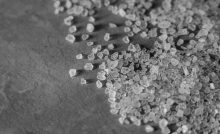 Il sale come fonte energetica per il frigorifero, così non si usa l'elettricità - agemobile.com (Foto Pexels)