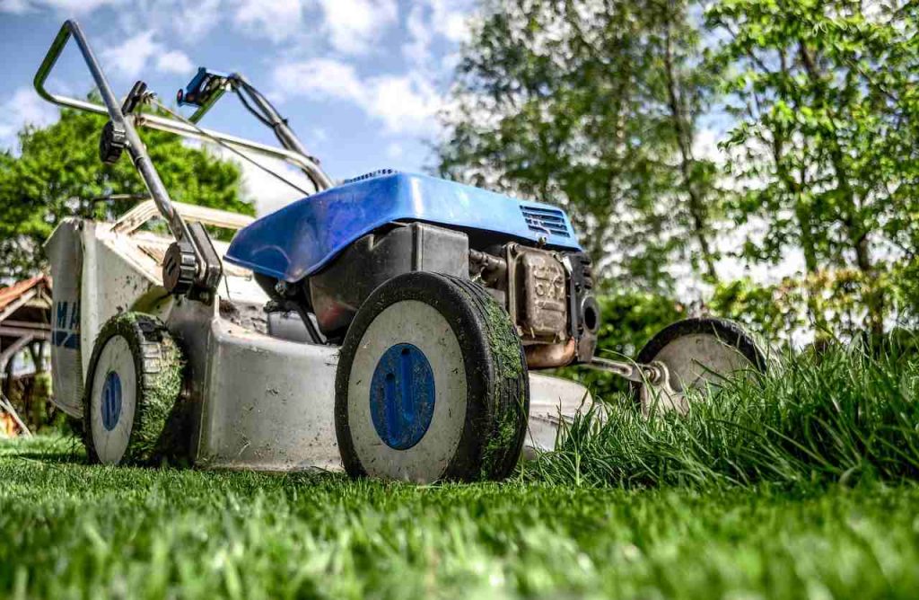 La cura del giardino (Foto di Rudy and Peter Skitterians da Pixabay) - agemobile.com